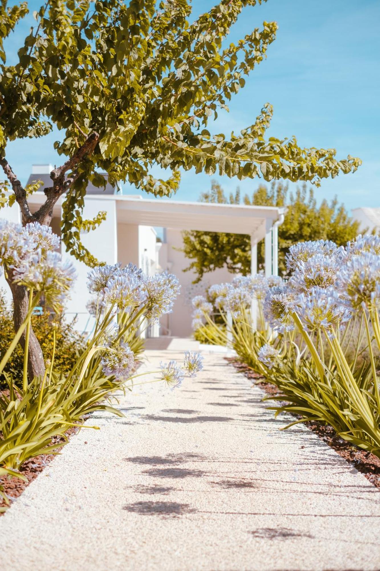 Iconica Luxury Suites Alberobello Dış mekan fotoğraf
