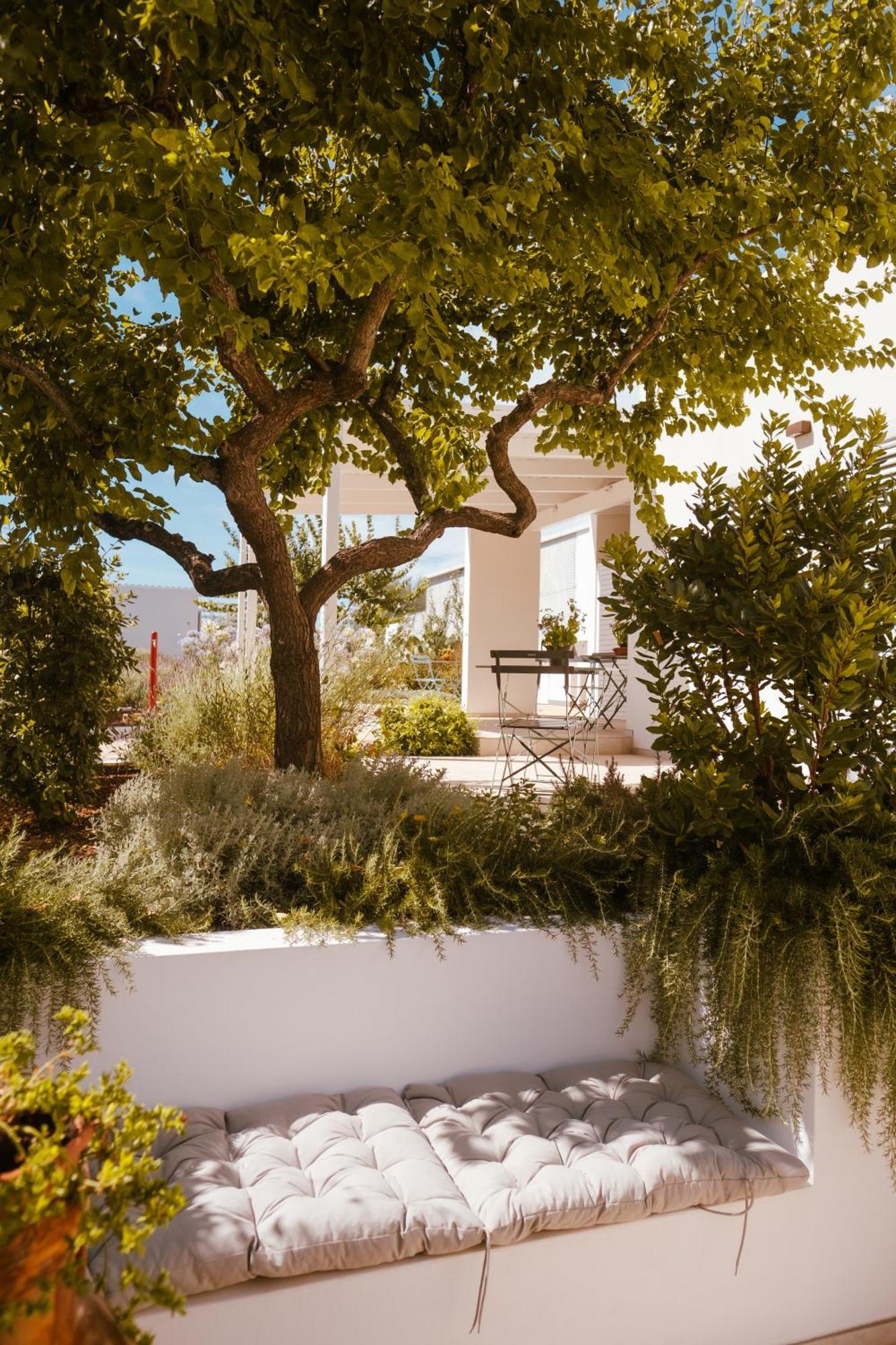Iconica Luxury Suites Alberobello Dış mekan fotoğraf
